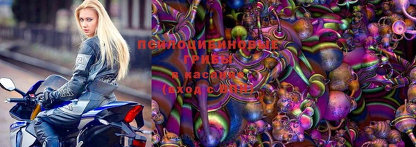 экстази Белокуриха