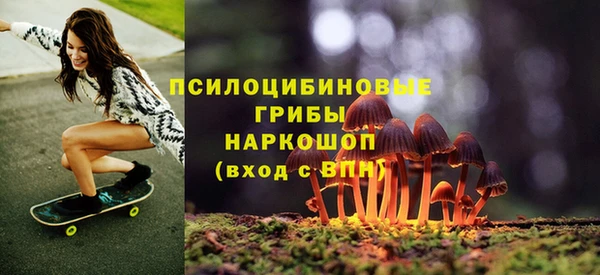 экстази Белокуриха