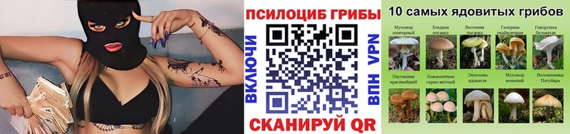 купить  цена  Кодинск  Галлюциногенные грибы прущие грибы 